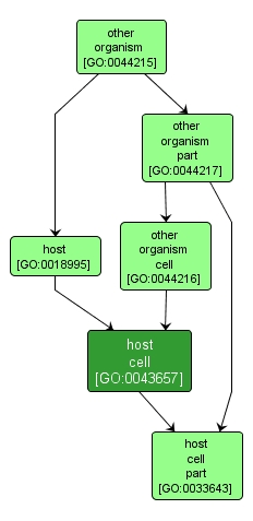 GO:0043657 - host cell (interactive image map)