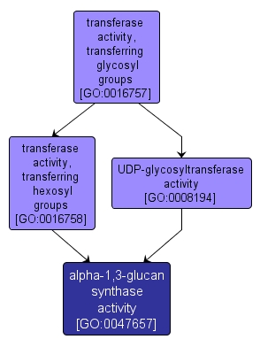GO:0047657 - alpha-1,3-glucan synthase activity (interactive image map)