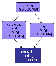 GO:0008658 - penicillin binding (interactive image map)