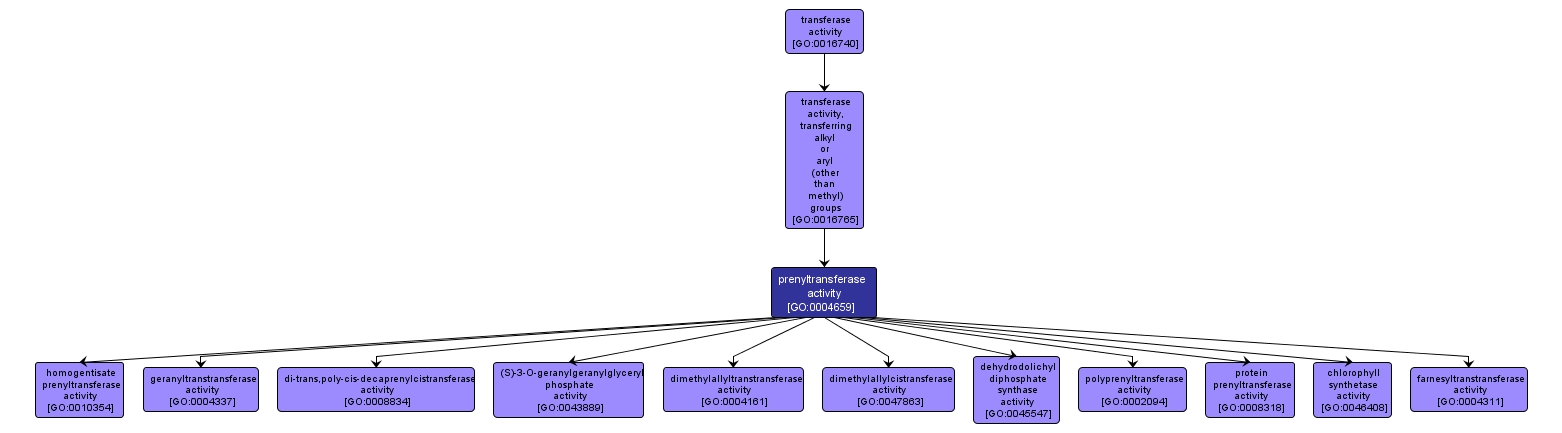 GO:0004659 - prenyltransferase activity (interactive image map)