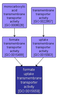 GO:0015659 - formate uptake transmembrane transporter activity (interactive image map)