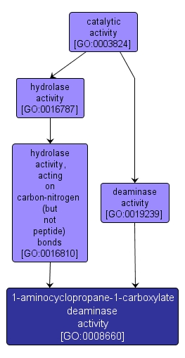 GO:0008660 - 1-aminocyclopropane-1-carboxylate deaminase activity (interactive image map)