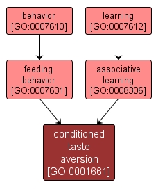 GO:0001661 - conditioned taste aversion (interactive image map)