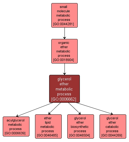 GO:0006662 - glycerol ether metabolic process (interactive image map)