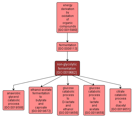 GO:0019662 - non-glycolytic fermentation (interactive image map)