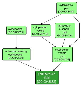 GO:0043662 - peribacteroid fluid (interactive image map)