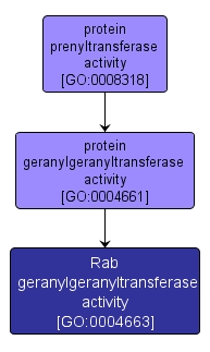 GO:0004663 - Rab geranylgeranyltransferase activity (interactive image map)