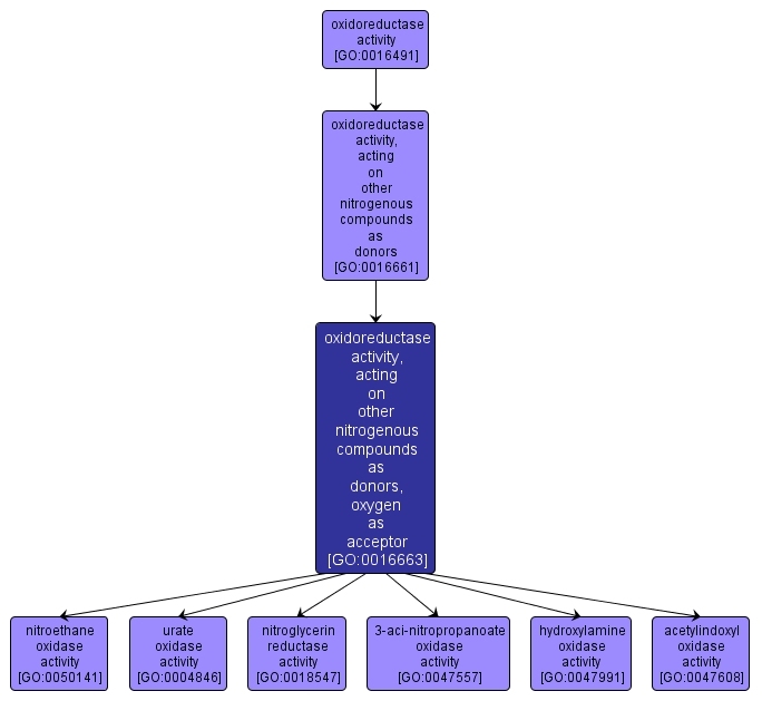 GO:0016663 - oxidoreductase activity, acting on other nitrogenous compounds as donors, oxygen as acceptor (interactive image map)
