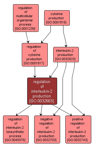 GO:0032663 - regulation of interleukin-2 production (interactive image map)