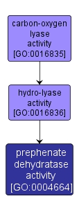 GO:0004664 - prephenate dehydratase activity (interactive image map)