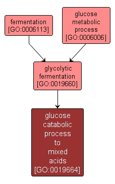 GO:0019664 - glucose catabolic process to mixed acids (interactive image map)