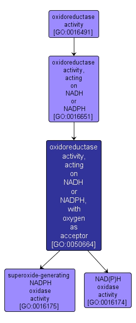 GO:0050664 - oxidoreductase activity, acting on NADH or NADPH, with oxygen as acceptor (interactive image map)