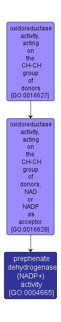 GO:0004665 - prephenate dehydrogenase (NADP+) activity (interactive image map)