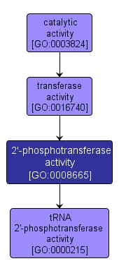 GO:0008665 - 2'-phosphotransferase activity (interactive image map)