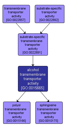GO:0015665 - alcohol transmembrane transporter activity (interactive image map)