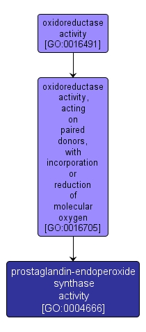 GO:0004666 - prostaglandin-endoperoxide synthase activity (interactive image map)