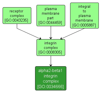 GO:0034666 - alpha2-beta1 integrin complex (interactive image map)