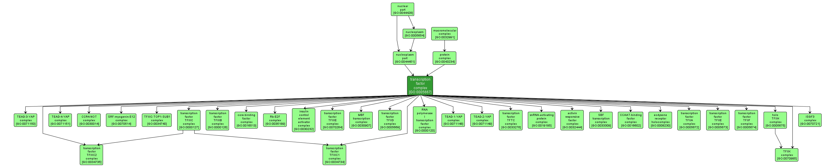 GO:0005667 - transcription factor complex (interactive image map)