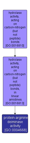 GO:0004668 - protein-arginine deiminase activity (interactive image map)