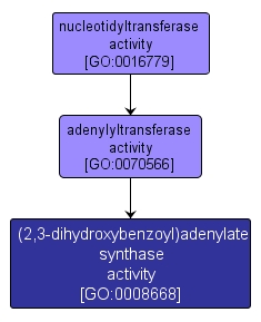 GO:0008668 - (2,3-dihydroxybenzoyl)adenylate synthase activity (interactive image map)