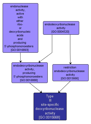 GO:0015668 - Type III site-specific deoxyribonuclease activity (interactive image map)