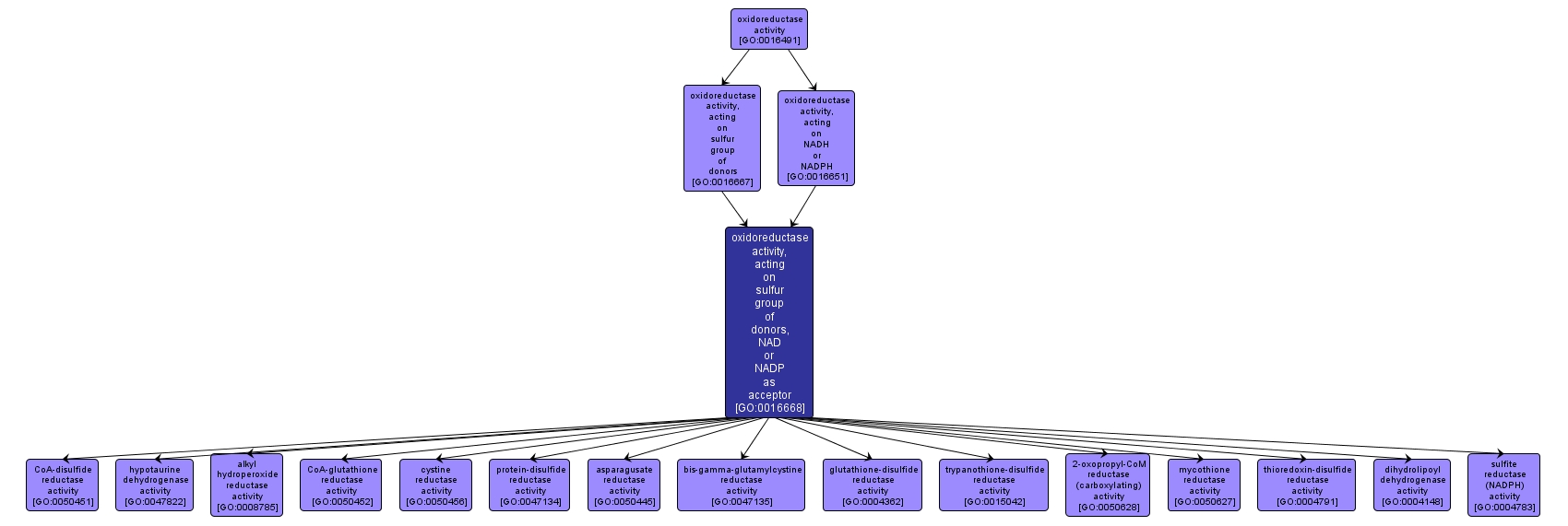 GO:0016668 - oxidoreductase activity, acting on sulfur group of donors, NAD or NADP as acceptor (interactive image map)