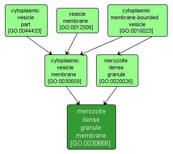GO:0030668 - merozoite dense granule membrane (interactive image map)