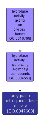 GO:0047668 - amygdalin beta-glucosidase activity (interactive image map)