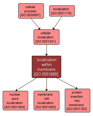 GO:0051668 - localization within membrane (interactive image map)