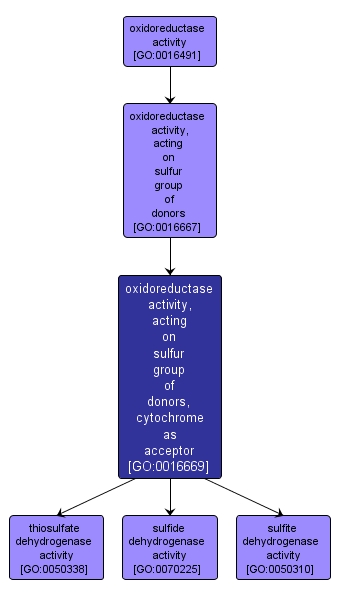 GO:0016669 - oxidoreductase activity, acting on sulfur group of donors, cytochrome as acceptor (interactive image map)