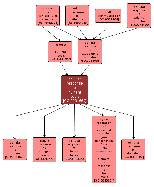 GO:0031669 - cellular response to nutrient levels (interactive image map)