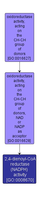 GO:0008670 - 2,4-dienoyl-CoA reductase (NADPH) activity (interactive image map)