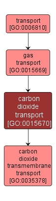 GO:0015670 - carbon dioxide transport (interactive image map)