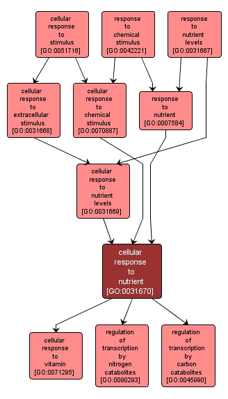 GO:0031670 - cellular response to nutrient (interactive image map)