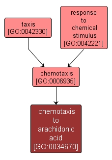 GO:0034670 - chemotaxis to arachidonic acid (interactive image map)