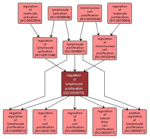 GO:0050670 - regulation of lymphocyte proliferation (interactive image map)
