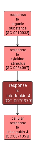 GO:0070670 - response to interleukin-4 (interactive image map)