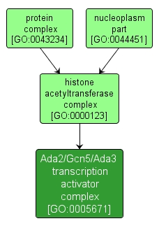 GO:0005671 - Ada2/Gcn5/Ada3 transcription activator complex (interactive image map)