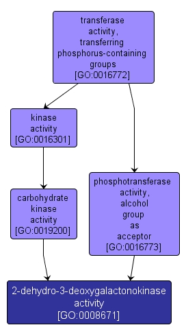 GO:0008671 - 2-dehydro-3-deoxygalactonokinase activity (interactive image map)