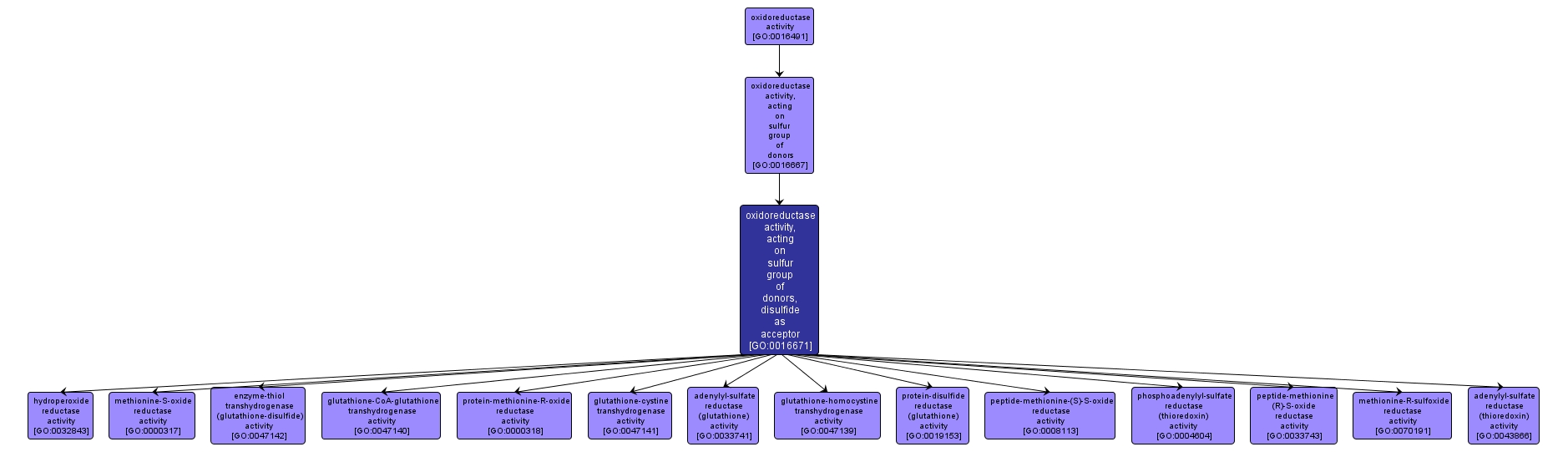 GO:0016671 - oxidoreductase activity, acting on sulfur group of donors, disulfide as acceptor (interactive image map)