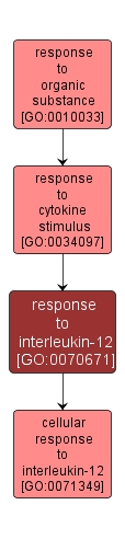 GO:0070671 - response to interleukin-12 (interactive image map)