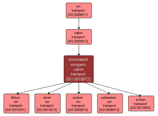 GO:0015672 - monovalent inorganic cation transport (interactive image map)