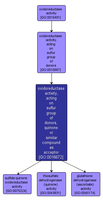 GO:0016672 - oxidoreductase activity, acting on sulfur group of donors, quinone or similar compound as acceptor (interactive image map)