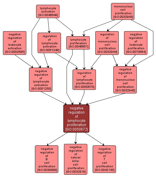 GO:0050672 - negative regulation of lymphocyte proliferation (interactive image map)