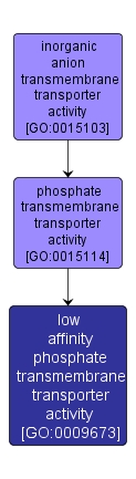 GO:0009673 - low affinity phosphate transmembrane transporter activity (interactive image map)