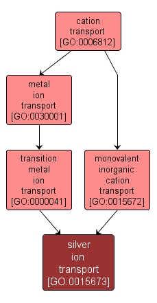 GO:0015673 - silver ion transport (interactive image map)