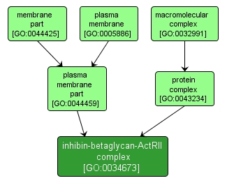GO:0034673 - inhibin-betaglycan-ActRII complex (interactive image map)