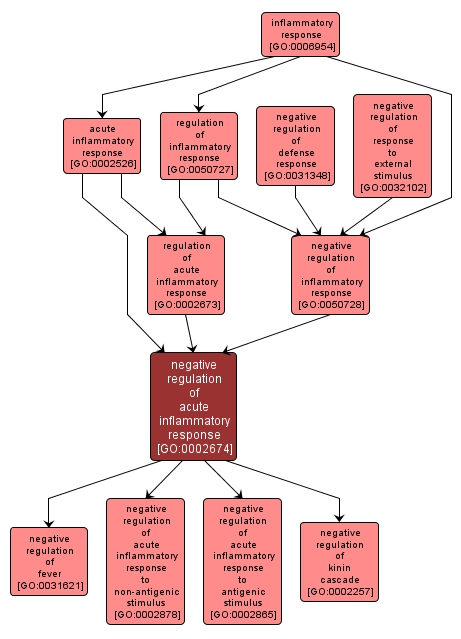 GO:0002674 - negative regulation of acute inflammatory response (interactive image map)