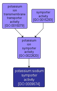 GO:0009674 - potassium:sodium symporter activity (interactive image map)