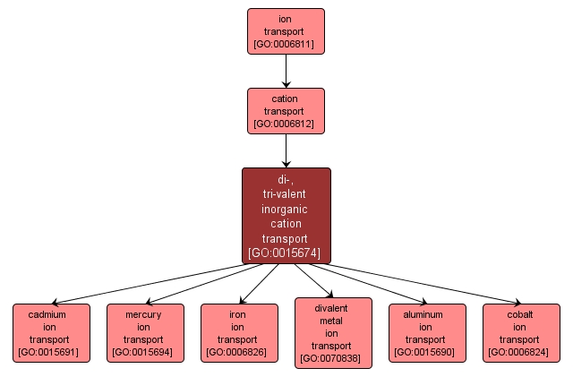 GO:0015674 - di-, tri-valent inorganic cation transport (interactive image map)